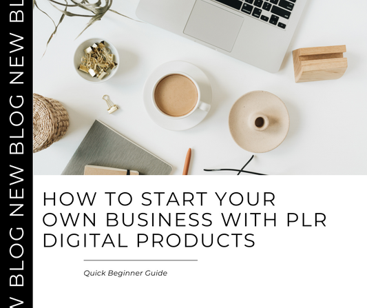 How to Start Your Own Business With PLR Digital Products